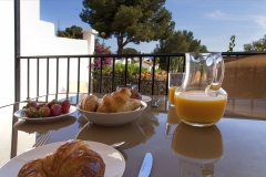 holiday-homes-malaga-la-hidalga-04