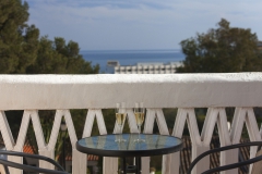 holiday-homes-malaga-la-hidalga-26