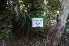 holiday-homes-malaga-la-hidalga-47